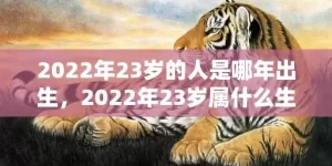 2022年23岁的人是哪年出生，2022年23岁属什么生肖