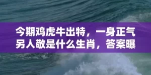 今期鸡虎牛出特，一身正气另人敬是什么生肖，答案曝光落实