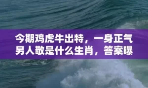 今期鸡虎牛出特，一身正气另人敬是什么生肖，答案曝光落实