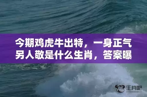 今期鸡虎牛出特，一身正气另人敬是什么生肖，答案曝光落实