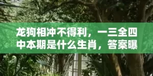 龙狗相冲不得利，一三全四中本期是什么生肖，答案曝光落实