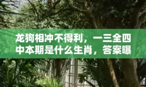 龙狗相冲不得利，一三全四中本期是什么生肖，答案曝光落实