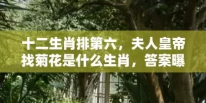 十二生肖排第六，夫人皇帝找菊花是什么生肖，答案曝光落实