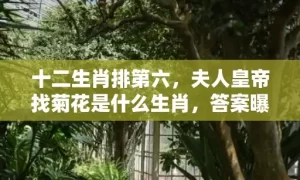 十二生肖排第六，夫人皇帝找菊花是什么生肖，答案曝光落实