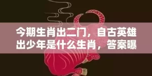 今期生肖出二门，自古英雄出少年是什么生肖，答案曝光落实