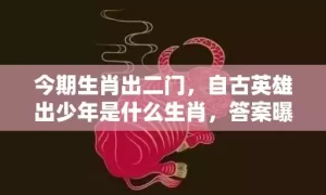 今期生肖出二门，自古英雄出少年是什么生肖，答案曝光落实