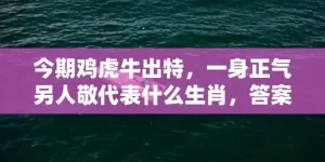 今期鸡虎牛出特，一身正气另人敬代表什么生肖，答案曝光落实