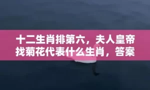 十二生肖排第六，夫人皇帝找菊花代表什么生肖，答案曝光落实