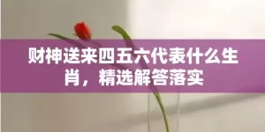 财神送来四五六代表什么生肖，精选解答落实