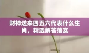 财神送来四五六代表什么生肖，精选解答落实