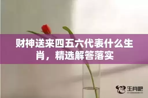 财神送来四五六代表什么生肖,精选解答落实 财神送来四五六代表什么生肖,精选解答落实