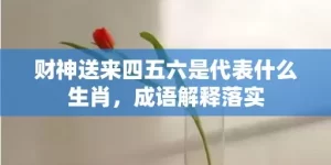 财神送来四五六是代表什么生肖，成语解释落实