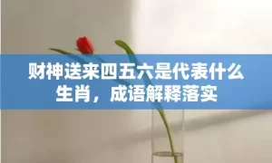 财神送来四五六是代表什么生肖，成语解释落实