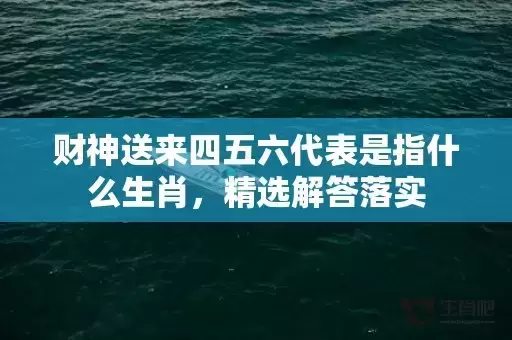 财神送来四五六代表是指什么生肖，精选解答落实