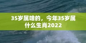 35岁属啥的，今年35岁属什么生肖2022