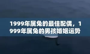 1999年属兔的最佳配偶，1999年属兔的男孩婚姻运势分析