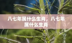 八七年属什么生肖，八七年属什么生肖