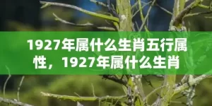 1927年属什么生肖五行属性，1927年属什么生肖