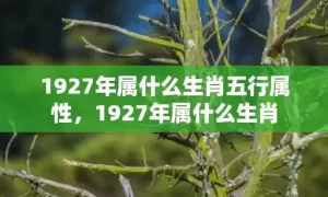 1927年属什么生肖五行属性，1927年属什么生肖