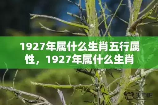 1927年属什么生肖五行属性，1927年属什么生肖