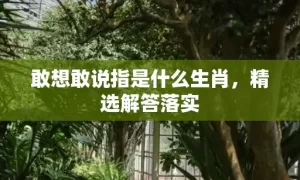 敢想敢说指是什么生肖，精选解答落实