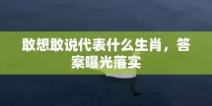 敢想敢说代表什么生肖，答案曝光落实