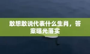 敢想敢说代表什么生肖，答案曝光落实