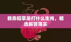 救命稻草是打什么生肖，精选解答落实