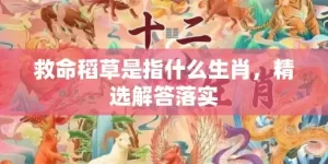 救命稻草是指什么生肖，精选解答落实