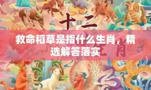 救命稻草是指什么生肖，精选解答落实