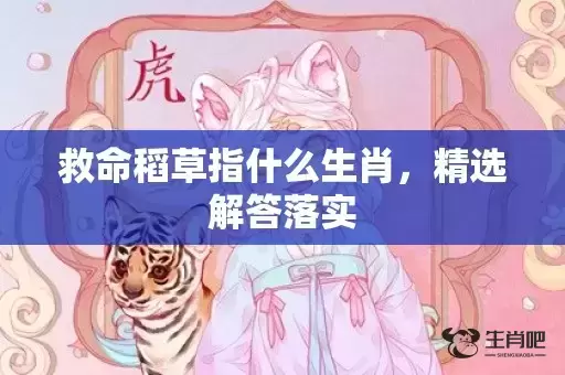 救命稻草指什么生肖，精选解答落实