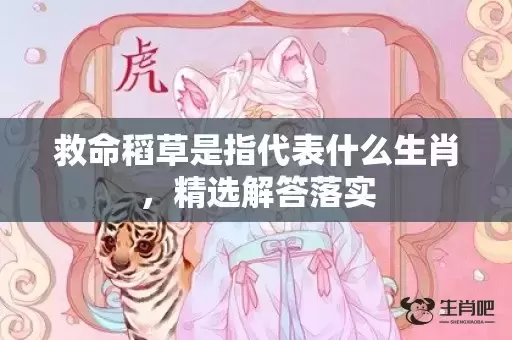 救命稻草是指代表什么生肖，精选解答落实