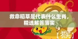 救命稻草是代表什么生肖，精选解答落实