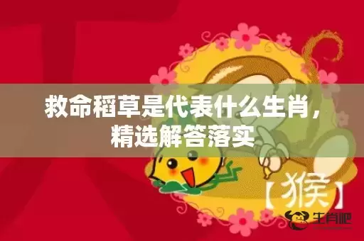 救命稻草是代表什么生肖，精选解答落实