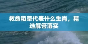 救命稻草代表什么生肖，精选解答落实