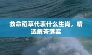 救命稻草代表什么生肖，精选解答落实