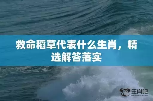 救命稻草代表什么生肖，精选解答落实