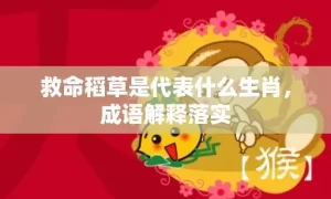 救命稻草是代表什么生肖，成语解释落实