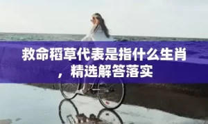 救命稻草代表是指什么生肖，精选解答落实