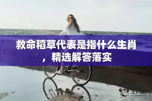 救命稻草代表是指什么生肖，精选解答落实
