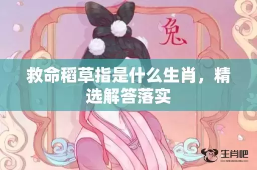 救命稻草指是什么生肖，精选解答落实