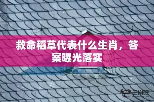 救命稻草代表什么生肖，答案曝光落实