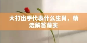 大打出手代表什么生肖，精选解答落实