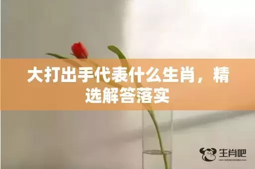 大打出手代表什么生肖,精选解答落实 大打出手代表什么生肖,精选解答落实