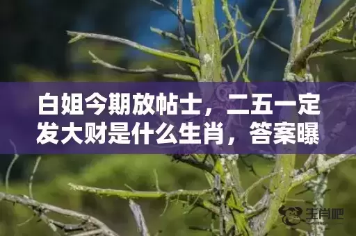 白姐今期放帖士，二五一定发大财是什么生肖，答案曝光落实