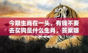 今期生肖在一头，有钱不要去买狗是什么生肖，答案曝光落实