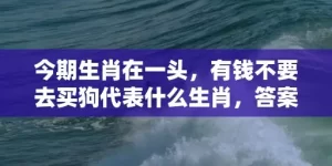 今期生肖在一头，有钱不要去买狗代表什么生肖，答案曝光落实