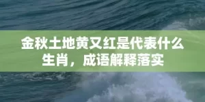 金秋土地黄又红是代表什么生肖，成语解释落实