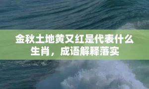 金秋土地黄又红是代表什么生肖，成语解释落实