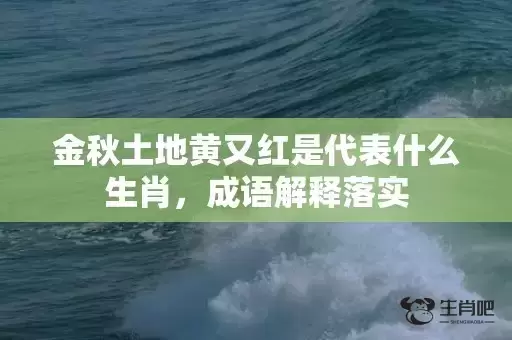金秋土地黄又红是代表什么生肖，成语解释落实